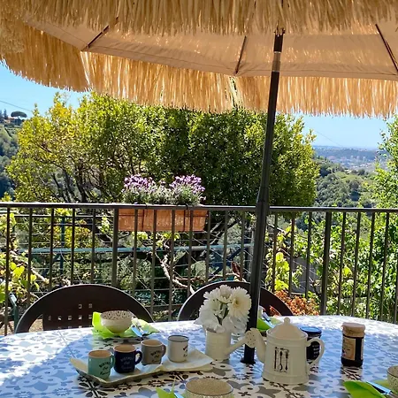 L'echappee Belle - Vineyard-jacuzzi And Bbq Appartement Nice